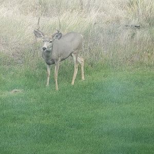 Meet your Posher, Kathy
